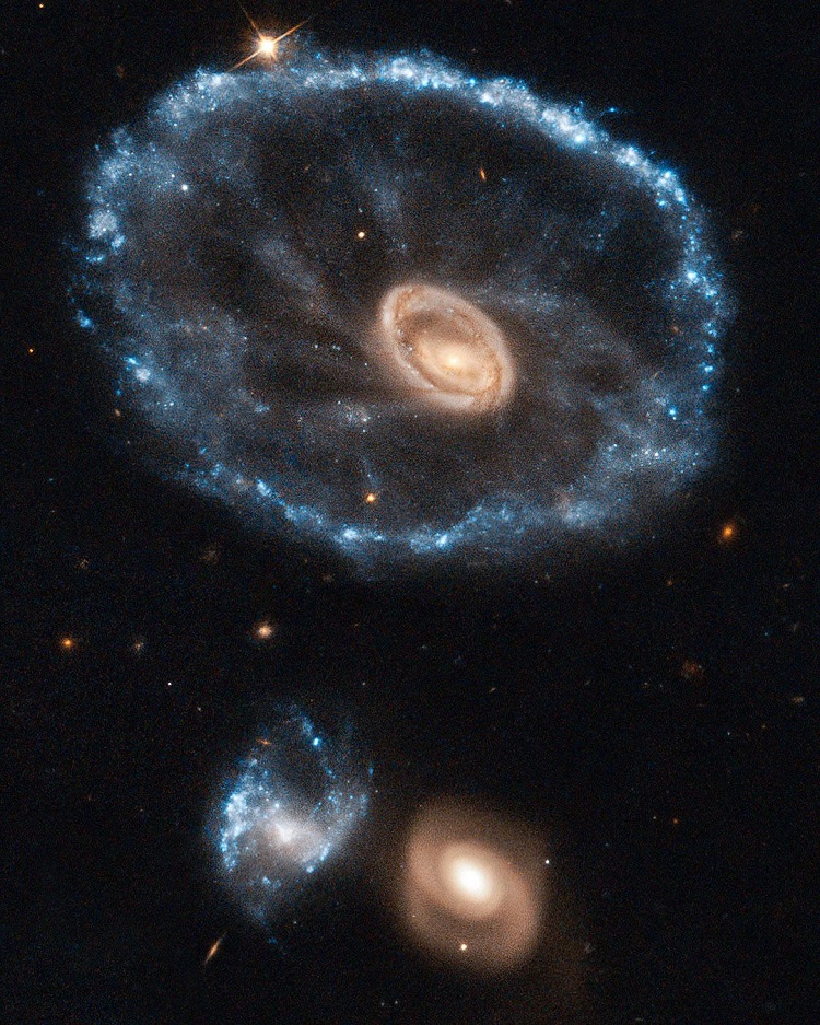 Galaktyka Koło Wozu, położona w konstelacji Rzeźbiarza, powstała w wyniku zderzenia dwóch mniejszych galaktyk. Fotografia: pinimg.com.